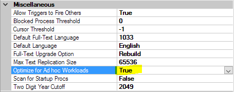 Optimize for Ad-Hoc Workloads